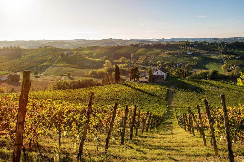 tenuta-la-guaragna