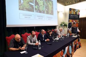 trentodocfestival