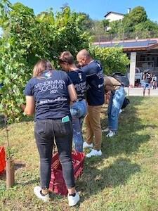 vendemmia-amadio-2021