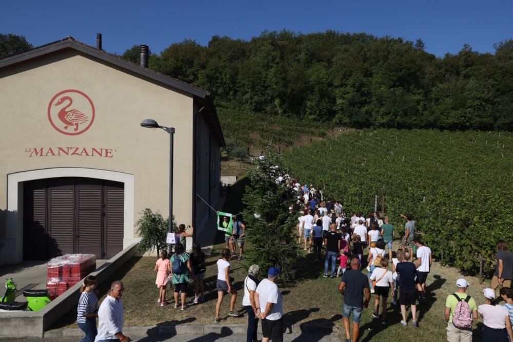 vendemmia-solidale