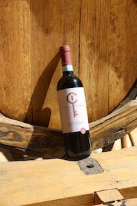 cantinadiillasi-valpolicella