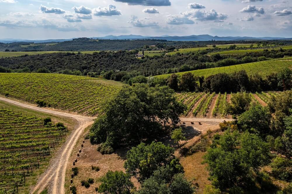 col-dorcia