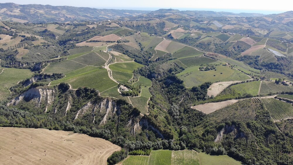 tenuta-cocci-grifoni