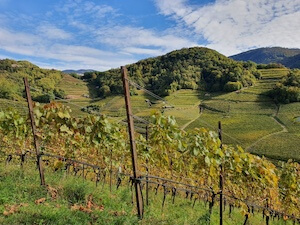 valle-di-cembra-autunno