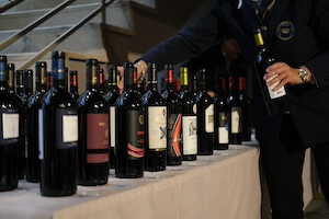 vino-terre-di-pisa-doc