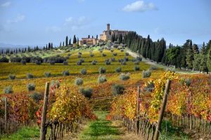 castello-banfi