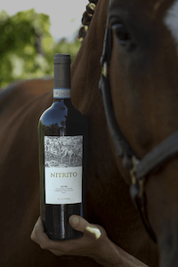 nitrito-e-cavallo