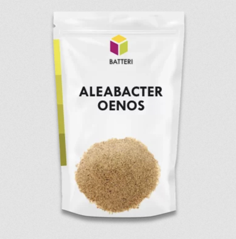 Aleabacter Oenos Fermentazione Malolattica Aleabacter Oenos Fermentazione Malolattica