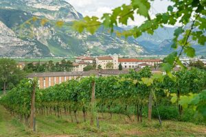 fondazione-edmund-mach-2019