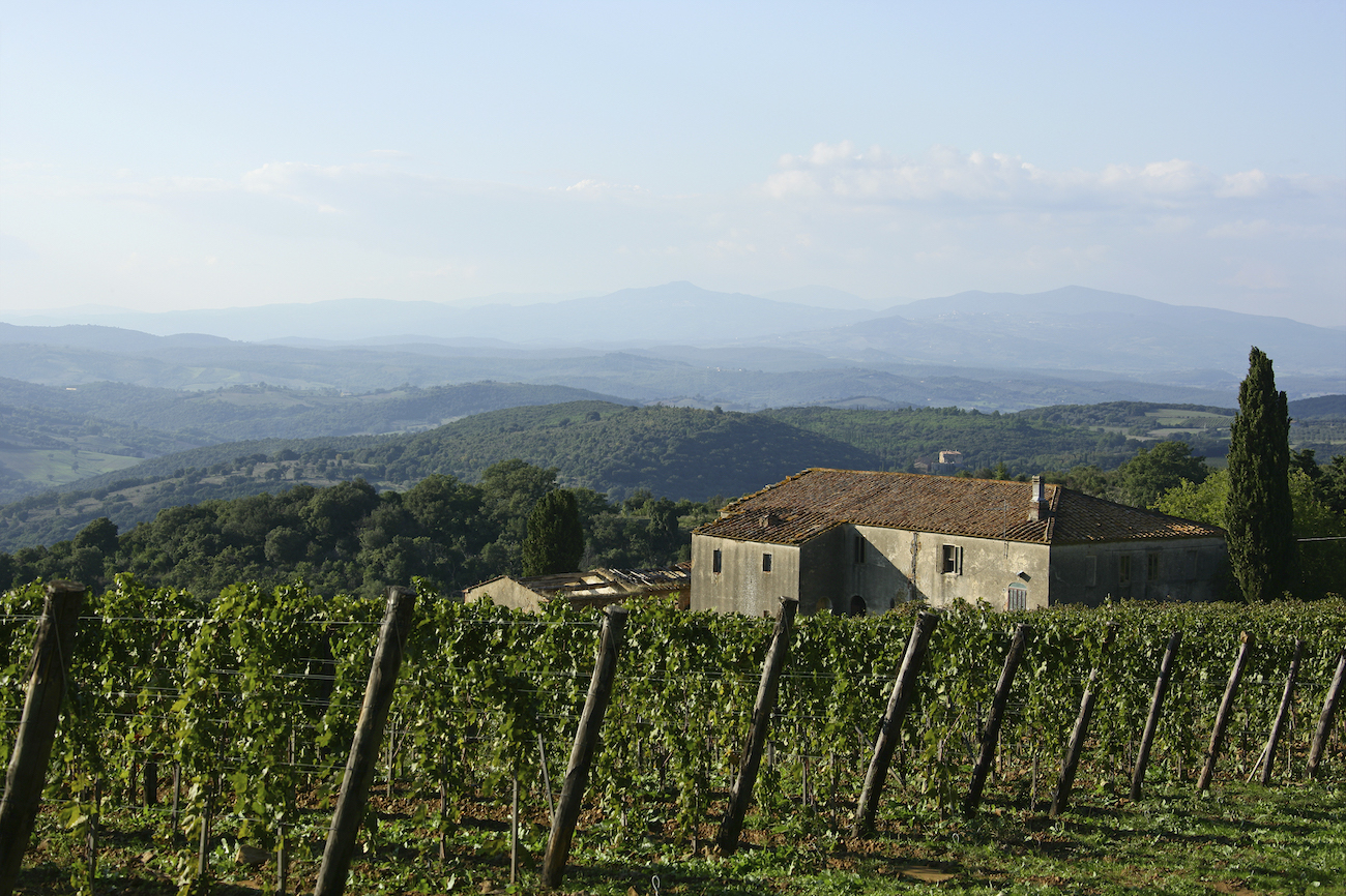 Il Consorzio Tutela Vini Montecucco vi aspetta a Vinitaly 2024